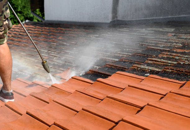 Best Affordable Power Washing  in Hayden, CO