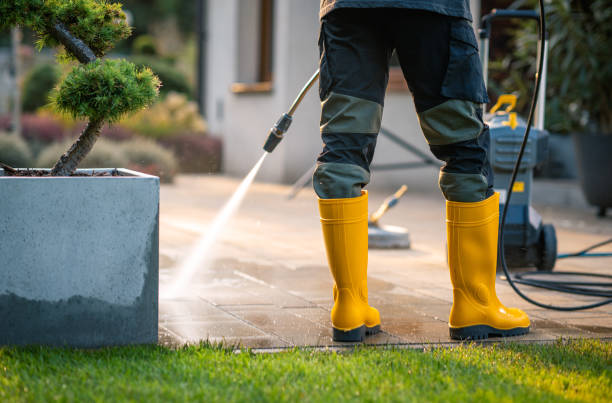 Best Residential Pressure Washing Services  in Hayden, CO